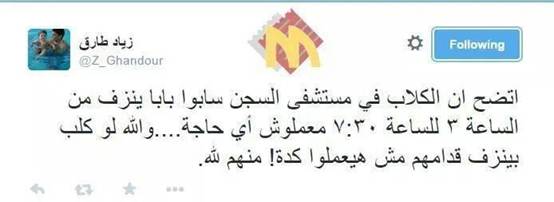 طارق الغندور