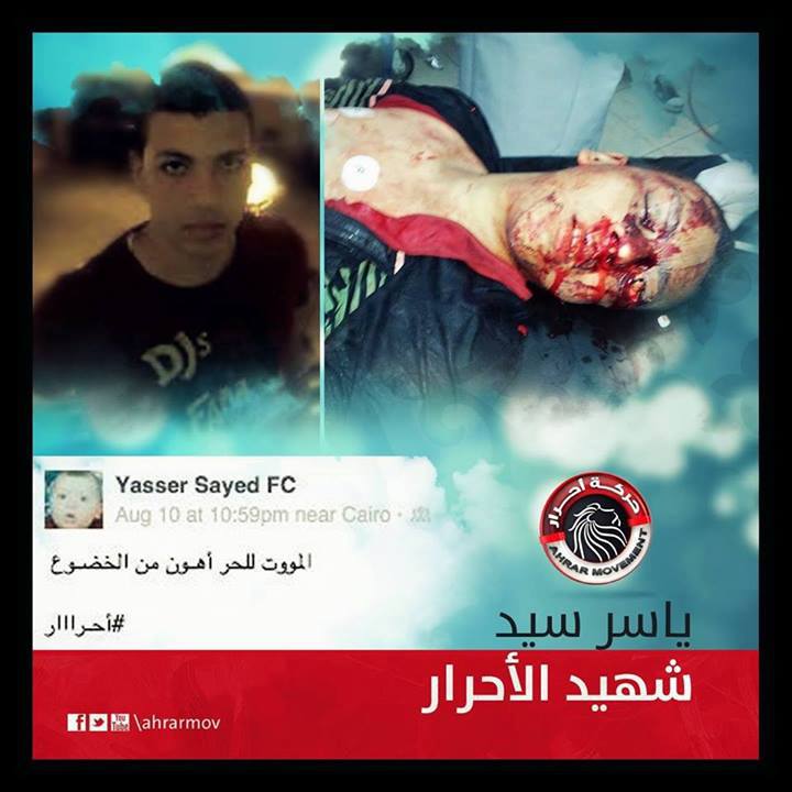 ياسر السيد
