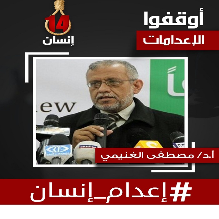 أ.د. مصطفى الغنيمى