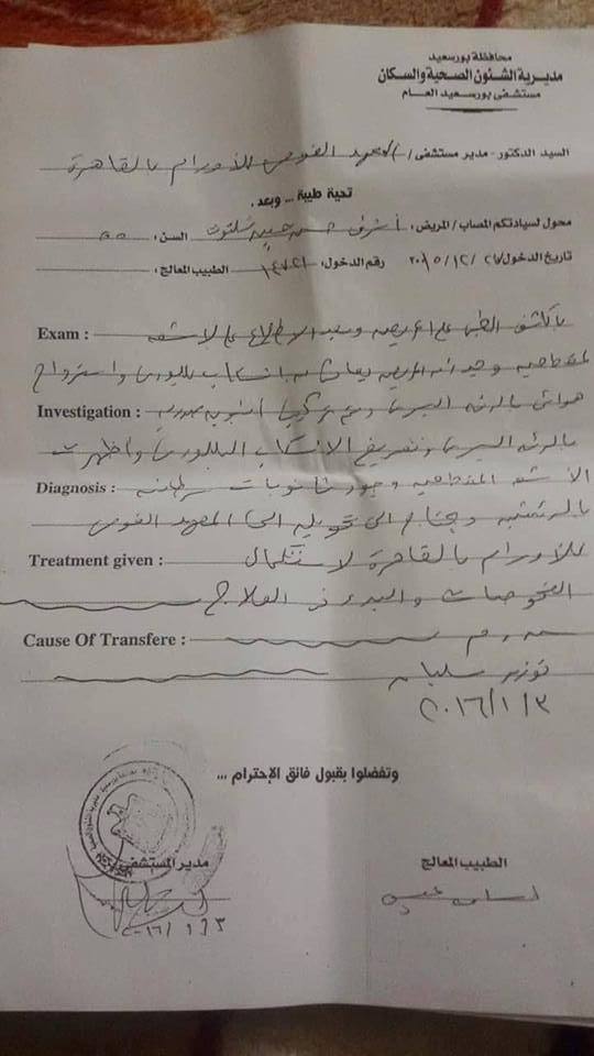 أشرف شلتوت 2