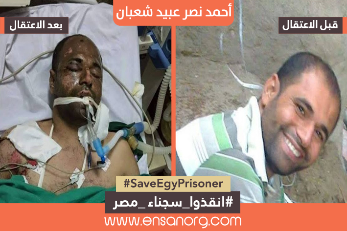 أحمد نصر عبيد شعبان